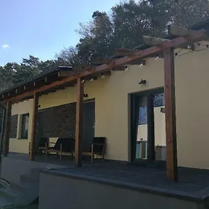  Apartament Przy Lesie Polska